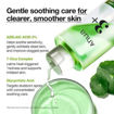 Picture of Anua AZELAIC ACID 3 CICA SKIN CLARIFYING TONER