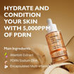 Picture of GENABELLE PDRN VITA TONING AMPOULE