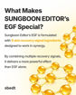 Picture of Sungboon Editor SILK PEPTIDE INTENSIVE LIFTING CREAM
