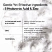 Picture of Anua 8 Hyaluronic Acid Hydrating Gentle Foaming Cleanser