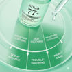 Picture of Anua Heartleaf 77 B3Zinc Soothing Serum (30ml X 2)