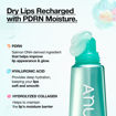 Picture of ANUA PDRN HYALURON LIP SERUM