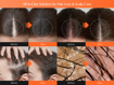 Picture of GROW:TURN EXOSOME TURN BRUSH AMPOULE