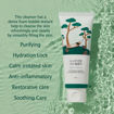 Picture of Round Lab Pine Calming Cica Cleanser 100ml Double Set
