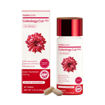 Picture of FOODOLOGY COLEOLOGY PRO DIET CARE 30 TAB