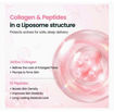 Picture of Biodance Collagen Peptide Liposome Bubble Booster